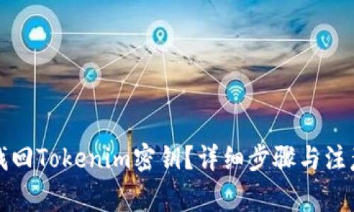 如何找回Tokenim密钥？详细步骤与注意事项