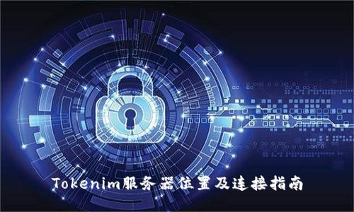 Tokenim服务器位置及连接指南