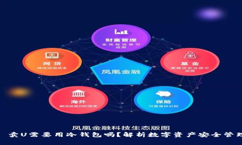 : 卖U需要用冷钱包吗？解析数字资产安全管理