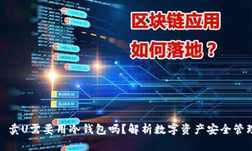 : 卖U需要用冷钱包吗？解析数字资产安全管理