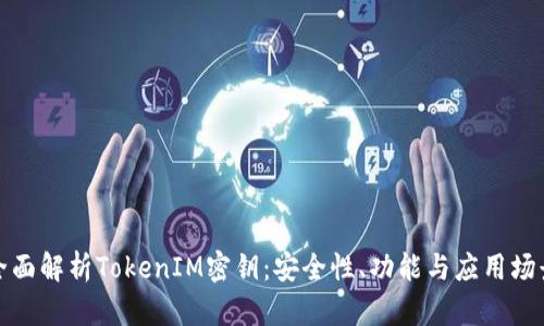 全面解析TokenIM密钥：安全性、功能与应用场景