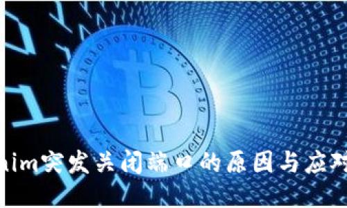 Tokenim突发关闭端口的原因与应对措施