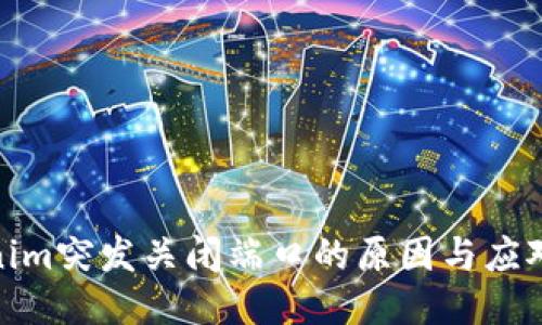Tokenim突发关闭端口的原因与应对措施