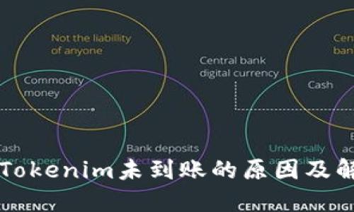 转币到Tokenim未到账的原因及解决办法