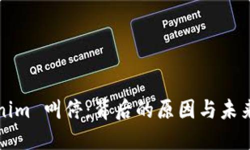 Tokenim 叫停：背后的原因与未来展望