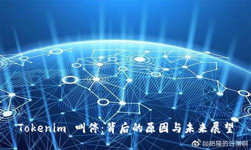 Tokenim 叫停：背后的原因与未来展望