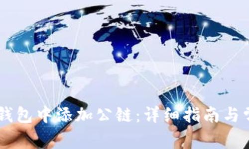 如何在 im 钱包中添加公链：详细指南与常见问题解答