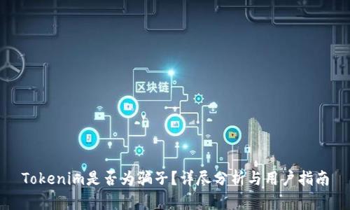 Tokenim是否为骗子？详尽分析与用户指南