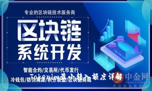 Tokenim最小转入额度详解