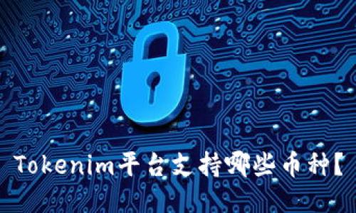 Tokenim平台支持哪些币种？
