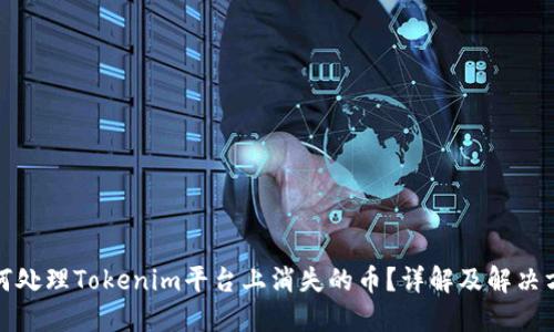 如何处理Tokenim平台上消失的币？详解及解决方案