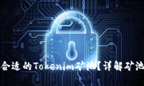 如何选择合适的Tokenim矿池？详解矿池选择指南