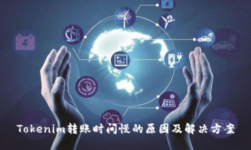 Tokenim转账时间慢的原因及解决方案