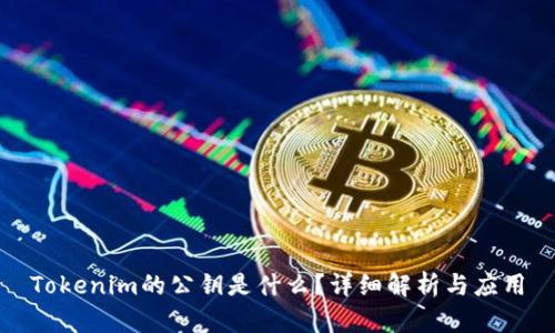Tokenim的公钥是什么？详细解析与应用