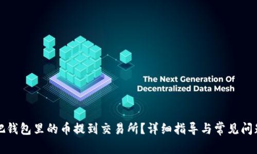 如何把钱包里的币提到交易所？详细指导与常见问题解答