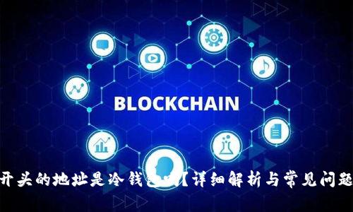 0x8开头的地址是冷钱包吗？详细解析与常见问题解答