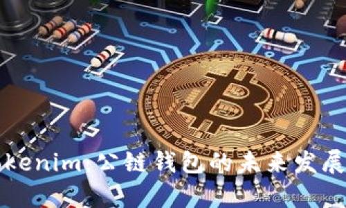 深入解析Tokenim：公链钱包的未来发展及应用前景