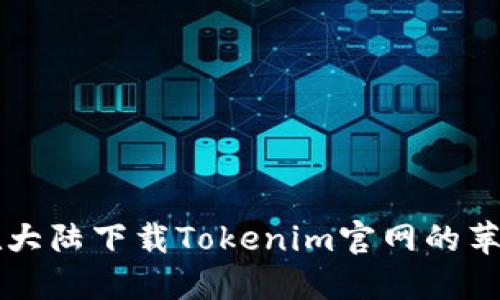 如何在大陆下载Tokenim官网的苹果应用