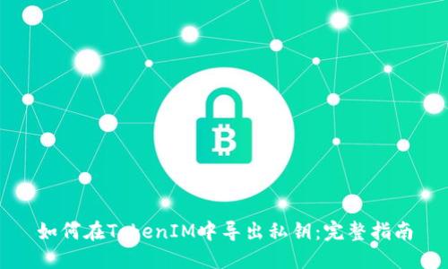 如何在TokenIM中导出私钥：完整指南