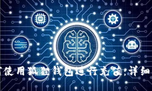 如何使用狐狸钱包进行充值:详细指南