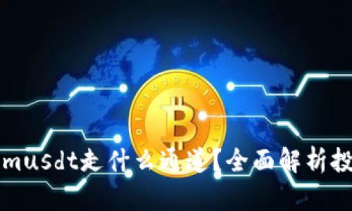 TokenImusdt走什么通道？全面解析投资策略