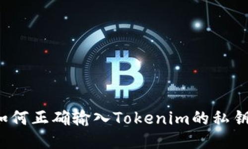 如何正确输入Tokenim的私钥？