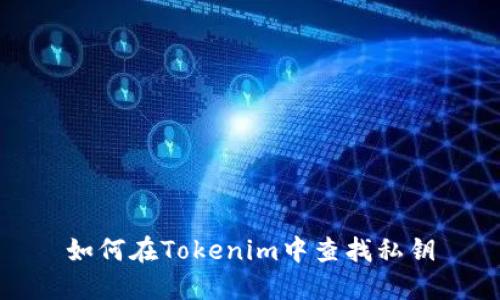 如何在Tokenim中查找私钥