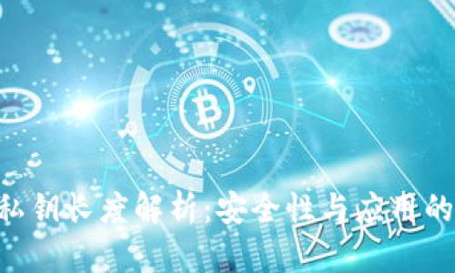 Tokenim私钥长度解析：安全性与应用的深度探讨