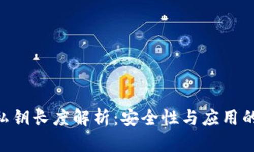 Tokenim私钥长度解析：安全性与应用的深度探讨