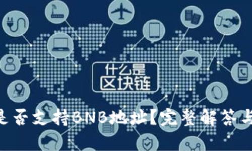Tokenim是否支持BNB地址？完整解答与相关信息