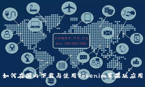 如何在国内下载与使用Tokenim苹果版应用