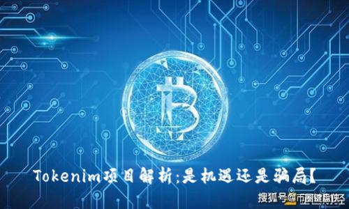 Tokenim项目解析：是机遇还是骗局？