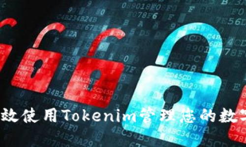 如何高效使用Tokenim管理您的数字资产？