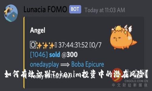 如何有效识别Tokenim投资中的潜在风险？
