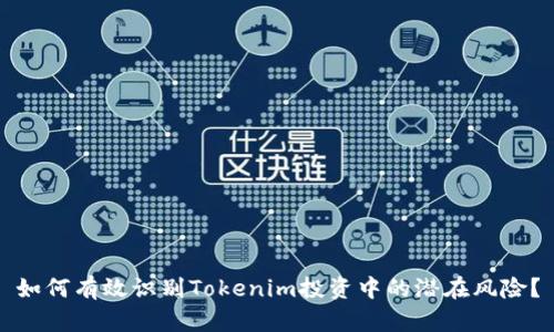 如何有效识别Tokenim投资中的潜在风险？