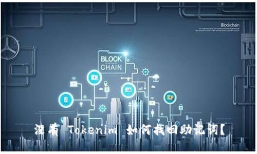 没有 Tokenim 如何找回助记词？