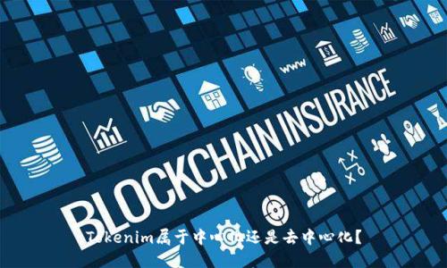Tokenim属于中心化还是去中心化？