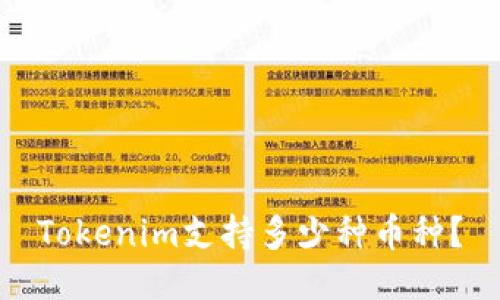 Tokenim支持多少种币种？