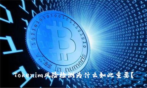 Tokenim风险检测为什么如此重要？