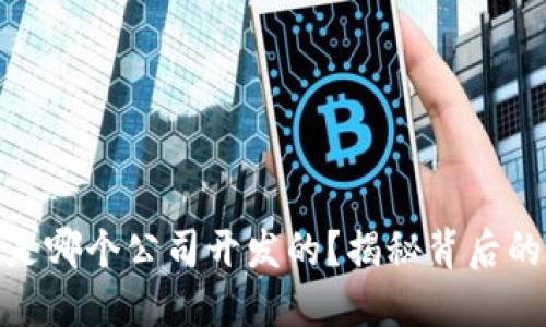 Tokenim 是哪个公司开发的？揭秘背后的科技团队！