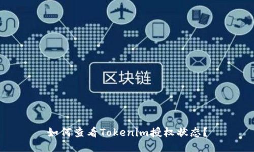 如何查看Tokenim授权状态？