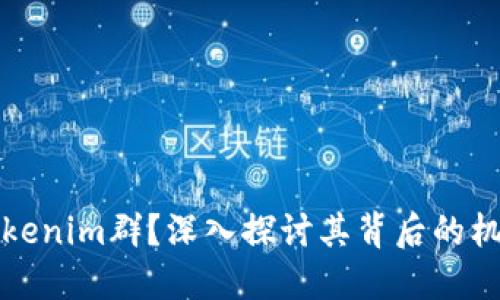 什么是Tokenim群？深入探讨其背后的机遇与挑战