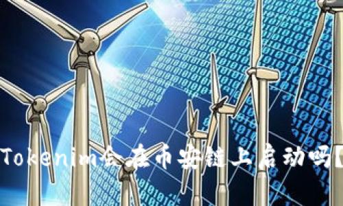Tokenim会在币安链上启动吗？