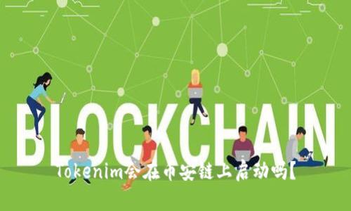 Tokenim会在币安链上启动吗？
