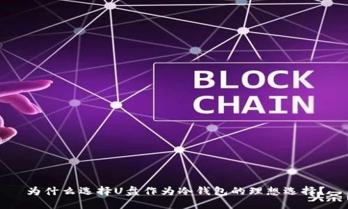 为什么选择U盘作为冷钱包的理想选择？