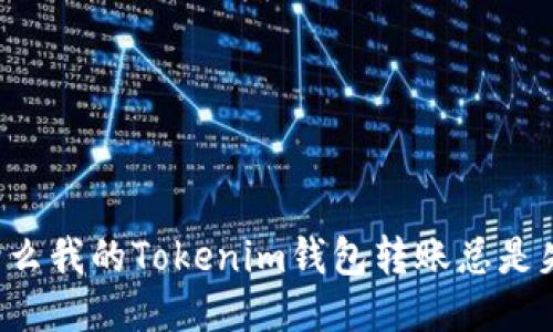 为什么我的Tokenim钱包转账总是失败？