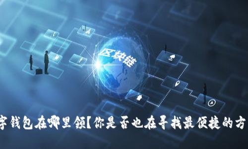 数字钱包在哪里领？你是否也在寻找最便捷的方法？