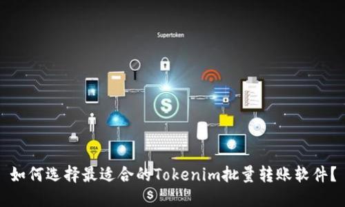 如何选择最适合的Tokenim批量转账软件？