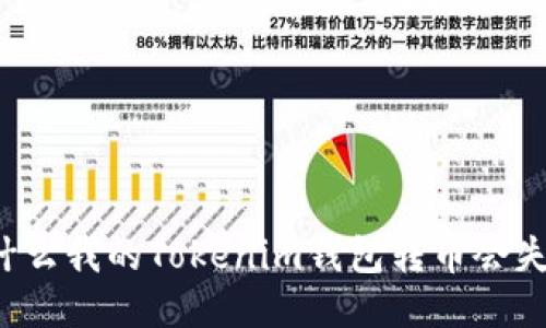 为什么我的Tokenim钱包转币会失败？