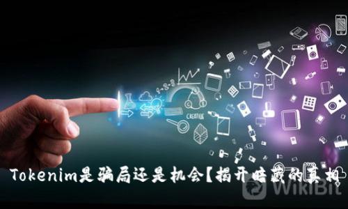 Tokenim是骗局还是机会？揭开暗藏的真相
